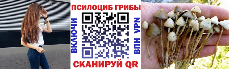 купить наркотики сайты  блэк спрут зеркало  Псилоцибиновые грибы ЛСД  Калач-на-Дону 